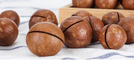 森林老爹坚果代工厂 一站式坚果贴牌代工，赋能品牌成长